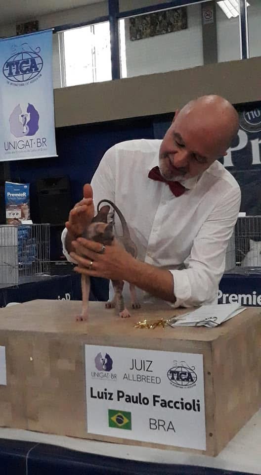 Luiz Paulo Faccioli