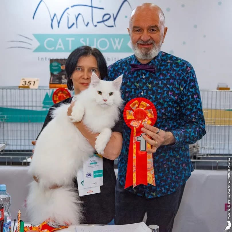 Luiz Paulo Faccioli at a cat show, awarding a ribbon